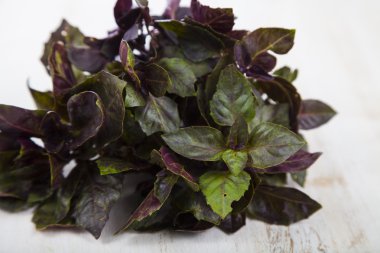 Fesleğen ahşap arka plan üzerinde