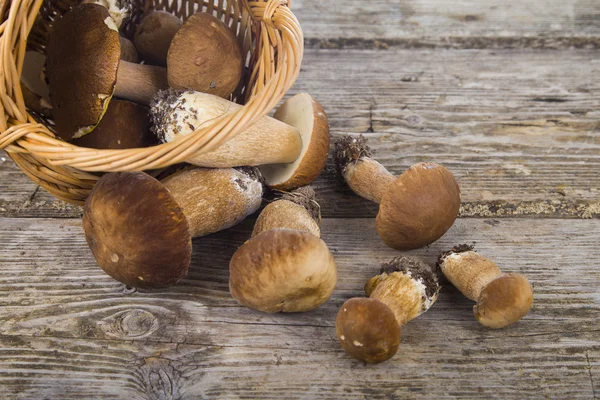 Funghi in un cesto su un tavolo di legno — Foto Stock