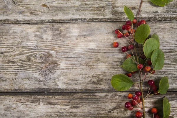 古い木製の背景の秋りんご — ストック写真