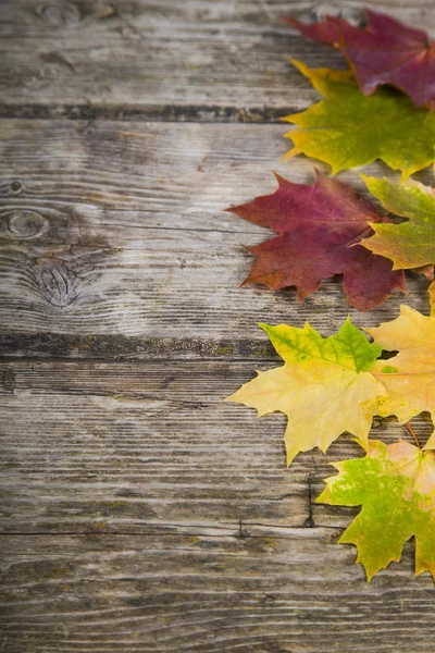 Autumn maple leaves on an old wooden background — Stock Photo, Image