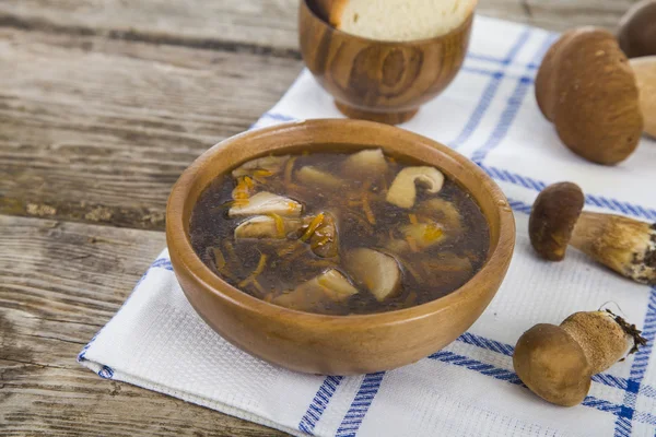 Zupa z grzybami — Zdjęcie stockowe