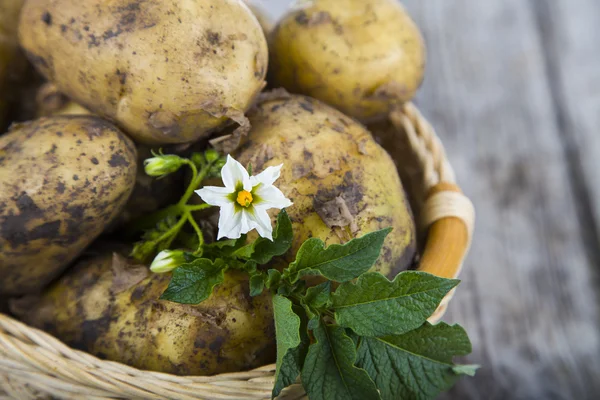 Rå potatis med blad på ett bord — Stockfoto