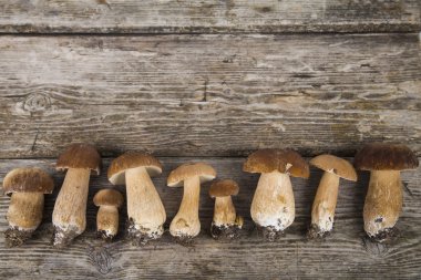 Ahşap bir masada çiğ mantar.