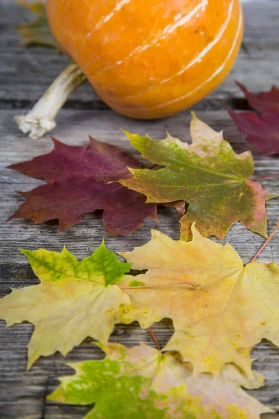 Citrouilles et feuilles d'automne sur une vieille table en bois — Photo