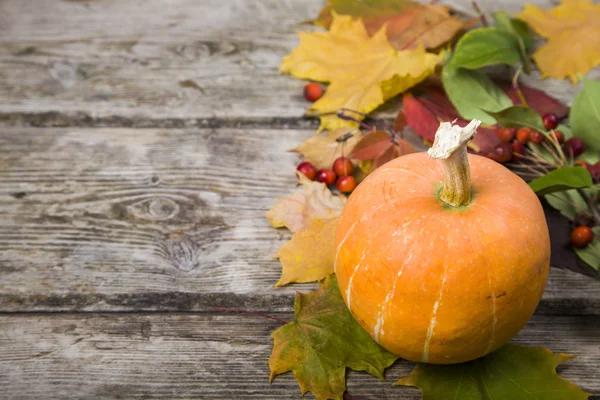 Citrouilles et feuilles d'automne sur une vieille table en bois — Photo