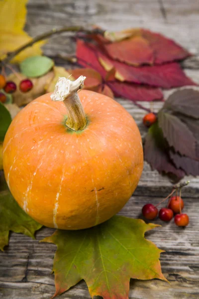 Calabazas y hojas de otoño sobre una vieja mesa de madera — Foto de Stock