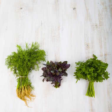 Maydanoz, dereotu, fesleğen