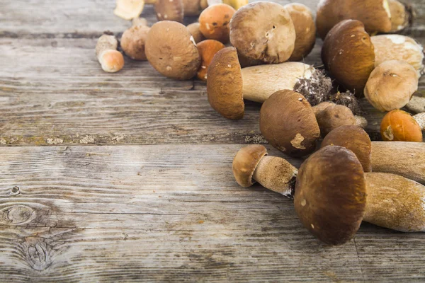 Raw mushrooms on a wooden table — Stock Photo, Image