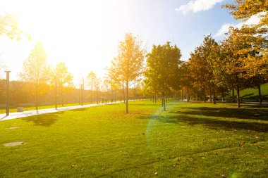 Güzel bir sonbahar parkı. Güneşli bir günde insanlar parkta yürürler..