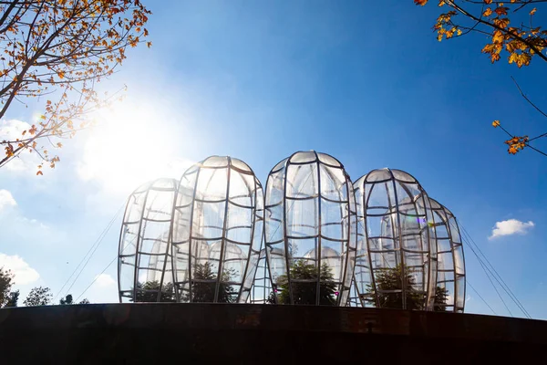 Stadspark Krasnodar Galitsky Park Tropische Bomen Bubbels Water Park Rond — Stockfoto