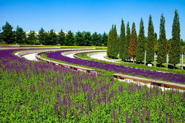 Parque Cidade Krasnodar Parque Galitsky Belas Árvores Gramado Terraços Parque Fotografias De Stock Royalty-Free