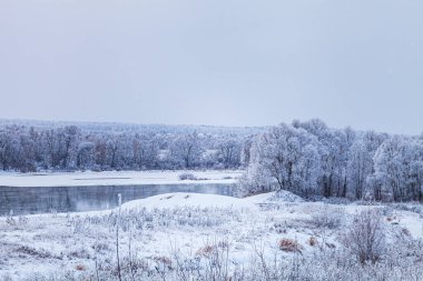 Güzel kış manzarası. Bulutlu bir günde nehir ve karla kaplı ağaçlar.