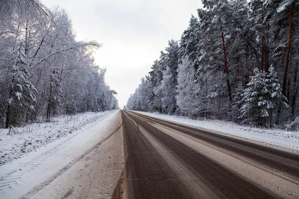 冬の道 曇りの日に雪に覆われた木 — ストック写真