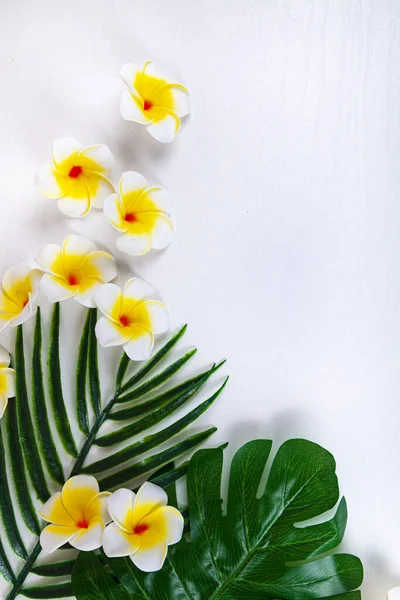 热带的花朵和树叶在白色的木制背景上 在南方度假 — 图库照片