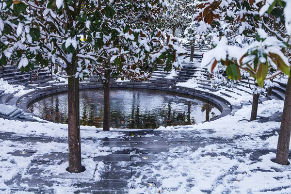 Park Miejski Krasnodar Lub Galicki Park Śnieg Pokrył Magnolie Staw — Zdjęcie stockowe