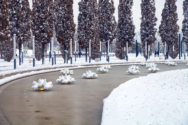 Stadtpark Krasnodar Oder Galitsky Park Schneebedeckte Künstliche Lilien Einem Teich — Stockfoto