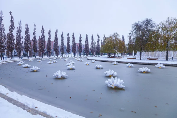 Park Miejski Krasnodar Lub Galicki Park Sztuczne Lilie Pokryte Śniegiem — Zdjęcie stockowe
