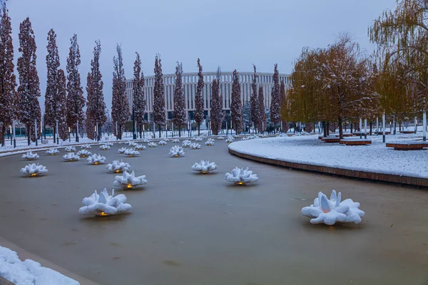 Park Miejski Krasnodar Lub Galicki Park Sztuczne Lilie Pokryte Śniegiem — Zdjęcie stockowe