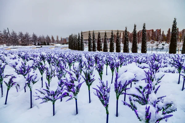 Park Miejski Krasnodar Lub Galicki Park Zimą Pokryte Śniegiem Drzewa — Zdjęcie stockowe