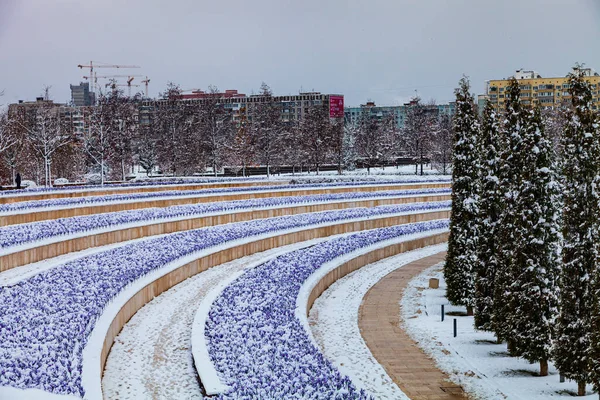 Park Miejski Krasnodar Lub Galicki Park Zimą Pokryte Śniegiem Drzewa — Zdjęcie stockowe
