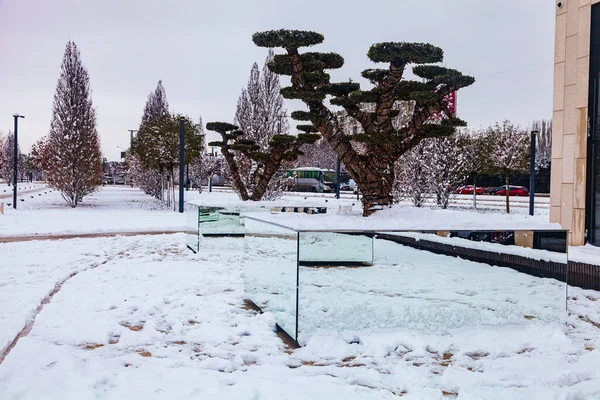 City Park Krasnodar Nebo Galitsky Park Zasněžené Stromy Zimě Parku — Stock fotografie