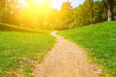 Yürüme yolu. Güzel yaz manzarası. Güneşli bir günde park et..