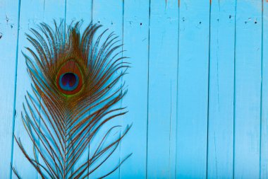 Mavi ahşap arka planda tavus kuşu tüyü.