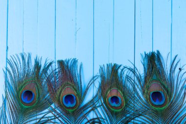 Mavi ahşap arka planda dört tavus kuşu tüyü.