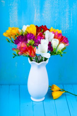 Mavi arka planda vazoda bir buket çok renkli frezya. Güzel çiçekler..
