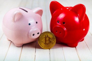 Beyaz ahşap arka planda iki domuz kumbarası ve bitcoin..