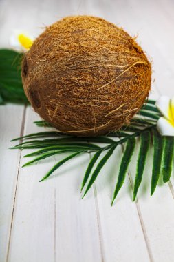 Beyaz ahşap arka planda hindistan cevizi ve palmiye yaprakları.