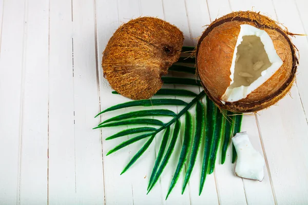 배경에 코코넛 야자나무 — 스톡 사진