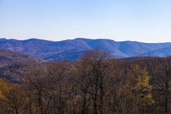 Beautiful Mountain Landscape Blooming Spring Trees Mountains Sunny Day — Stock Photo, Image