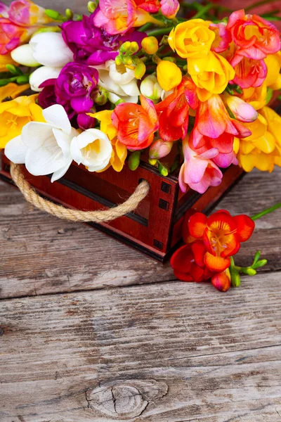 Veelkleurig Freesia Een Doos Een Oude Houten Achtergrond Mooie Bloemen — Stockfoto