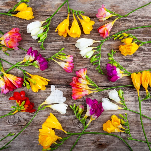 Boeket Van Veelkleurige Freesia Oude Houten Ondergrond Mooie Bloemen — Stockfoto