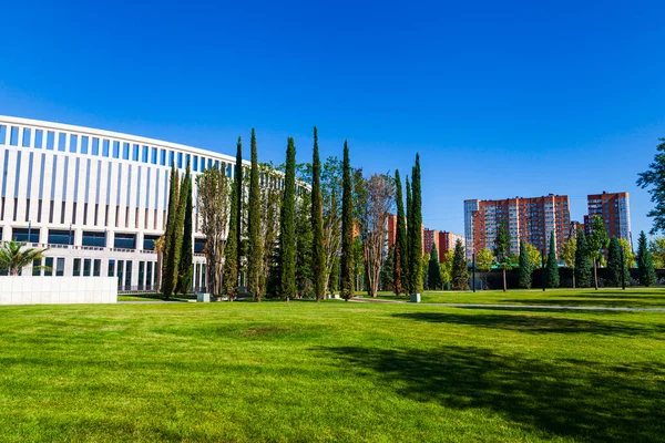 Parque Cidade Krasnodar Parque Galitsky Belas Árvores Gramados Parque Torno Imagem De Stock