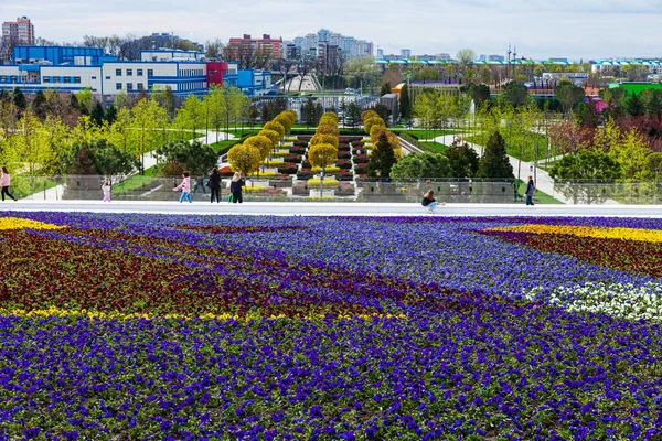 Parque Cidade Krasnodar Parque Galitsky Composição Flores Vermelho Vitorioso Parque Fotografia De Stock