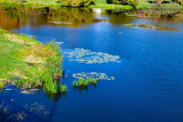 蓝湖上有水生植物 美丽的秋天风景 — 图库照片