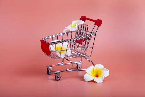 Shopping cart and flowers on a pink background.