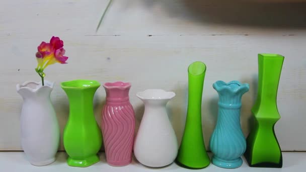 Mulher Coloca Flores Vasos Multicoloridos Freesias Vasos — Vídeo de Stock