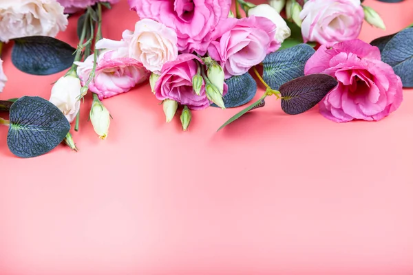 Красивые Цветы Розовом Фоне Место Вашего Текста Розовая Эустома — стоковое фото