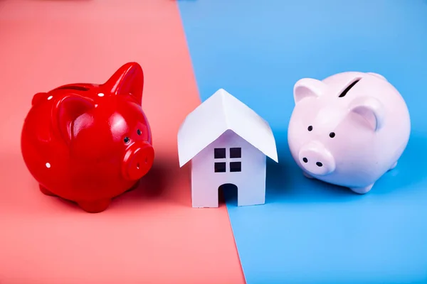 两只猪猪和一个蓝色和粉色背景的小房子 房地产采购概念 — 图库照片