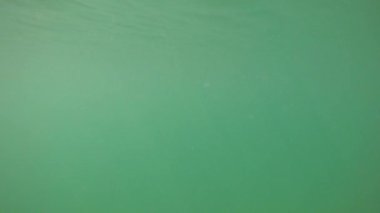 Sakin deniz ve su altında güneş ışınları