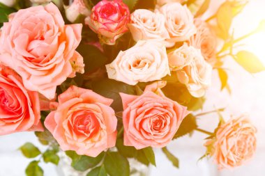 Hafif ahşap arka planda pembe güller. Güzel kart.