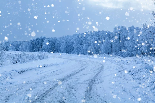 Forêt Hiver Fée Dans Les Chutes Neige Beau Paysage — Photo