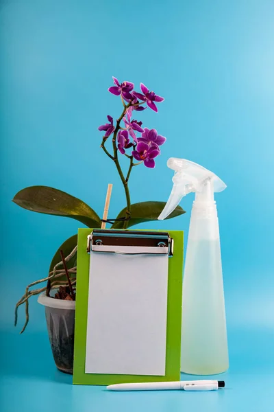 Roze Orchidee Notitie Papier Spray Fles Een Blauwe Achtergrond Verzorging — Stockfoto