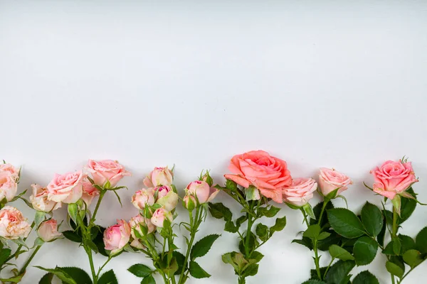 Pink Roses Light Wooden Background Place Your Text Flowers Border — Stock Photo, Image