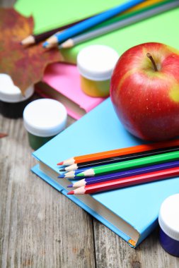 kitap, kalem ve akçaağaç yaprağı