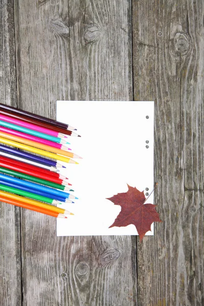 Checkered sheet, maple leaf and pencils on the wooden background — Stock Photo, Image