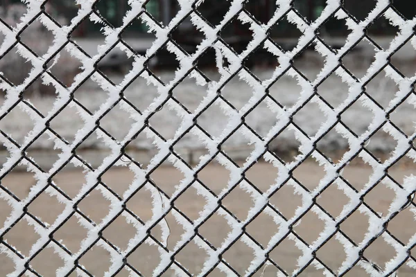 Mesh covered with frost — Stock Photo, Image